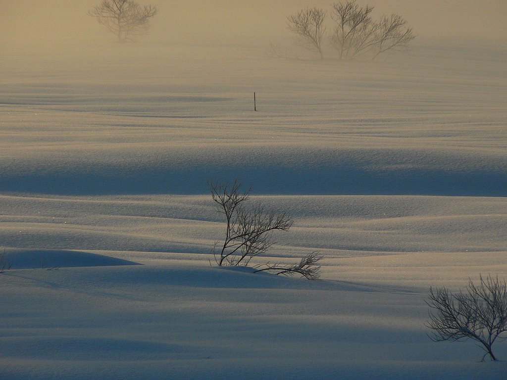 湖の朝から・・・