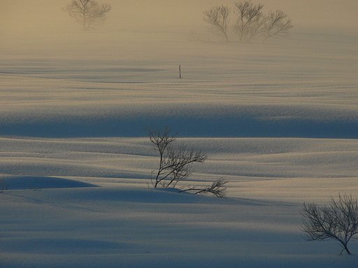 湖の朝から・・・
