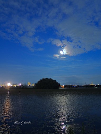 梅雨の晴れ間に