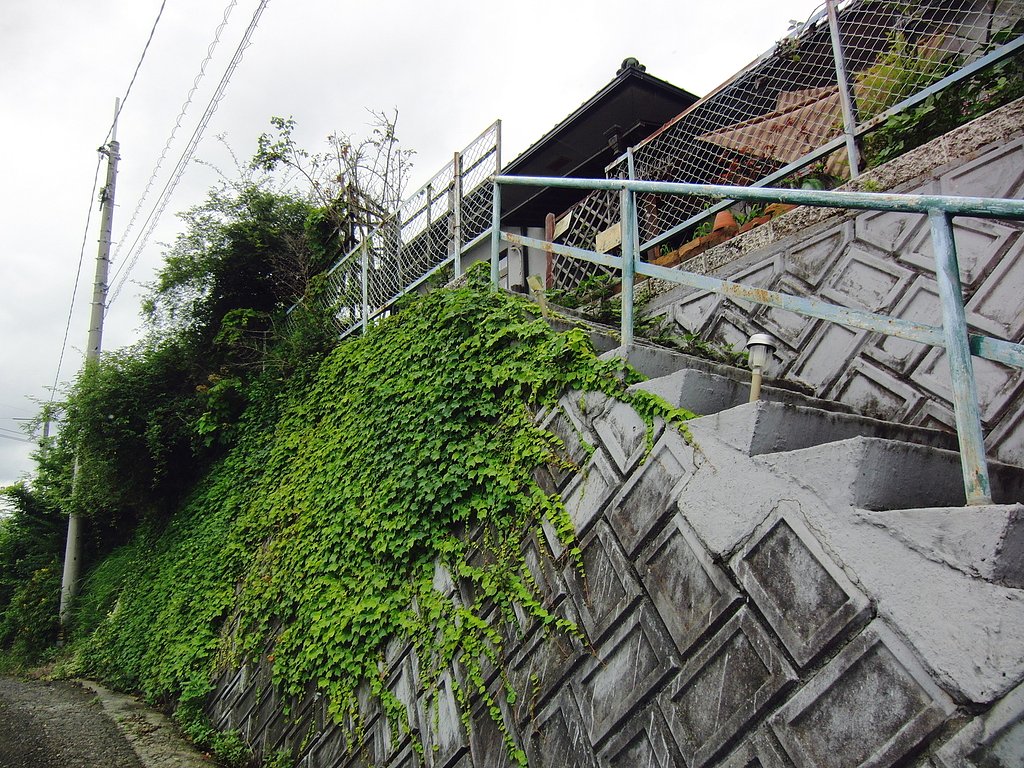 坂の上の上