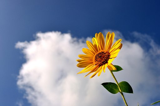 晩夏の主張