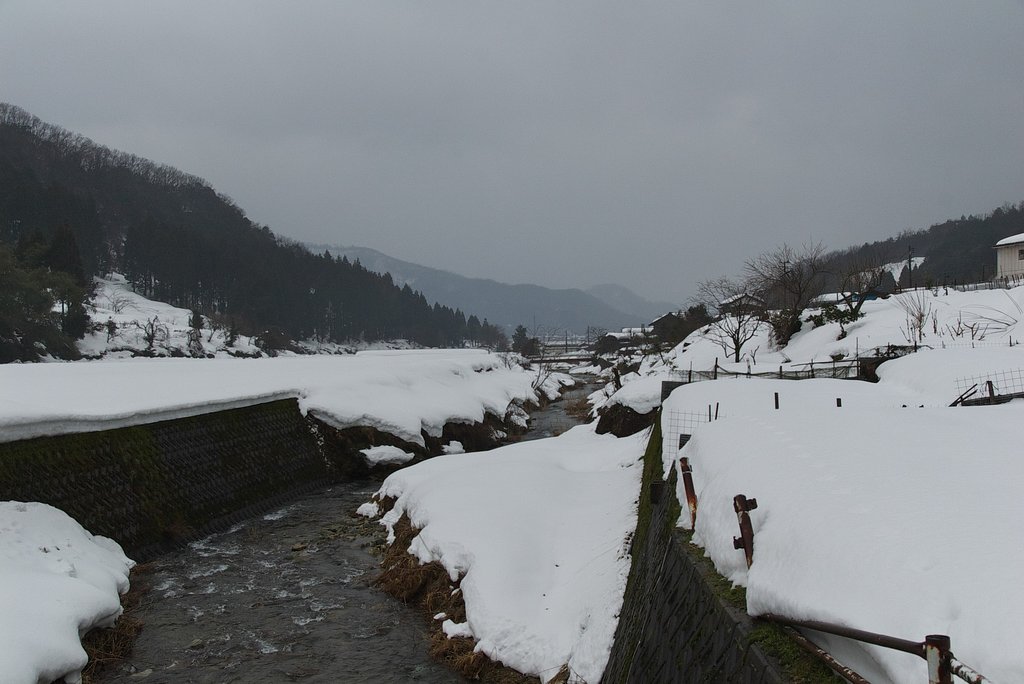 昼頃から雨降りに・・