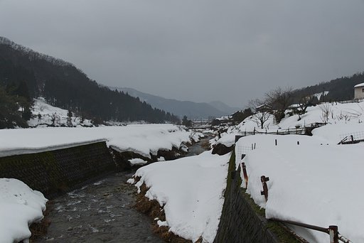 昼頃から雨降りに・・