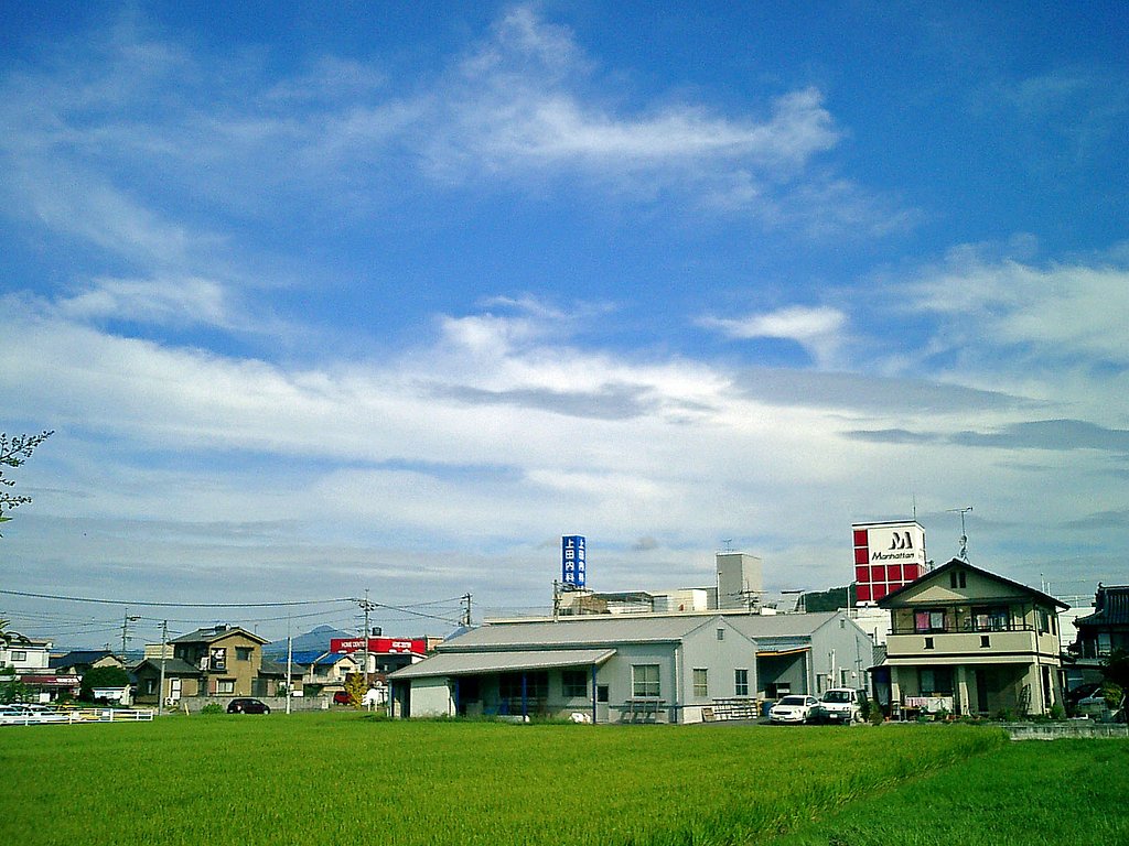 夏秋