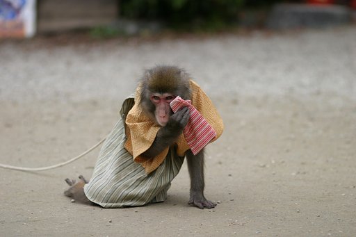 お宮泣く