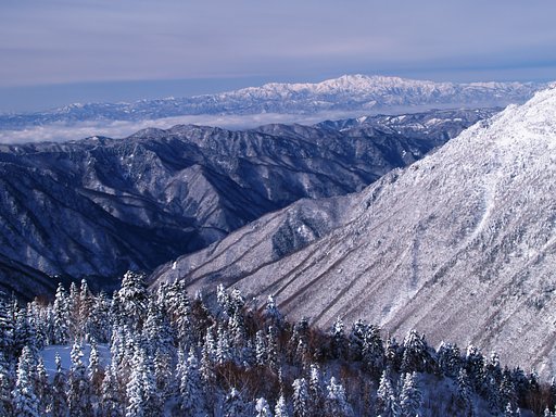 雲か山か呉か越か