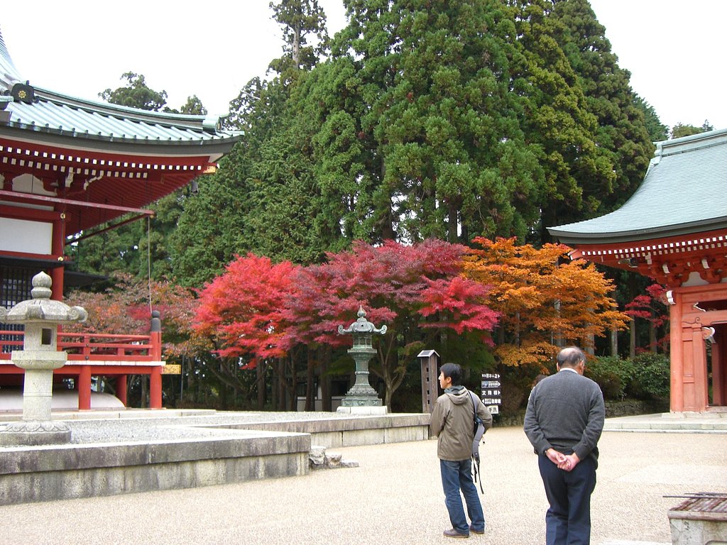 比叡山の紅葉