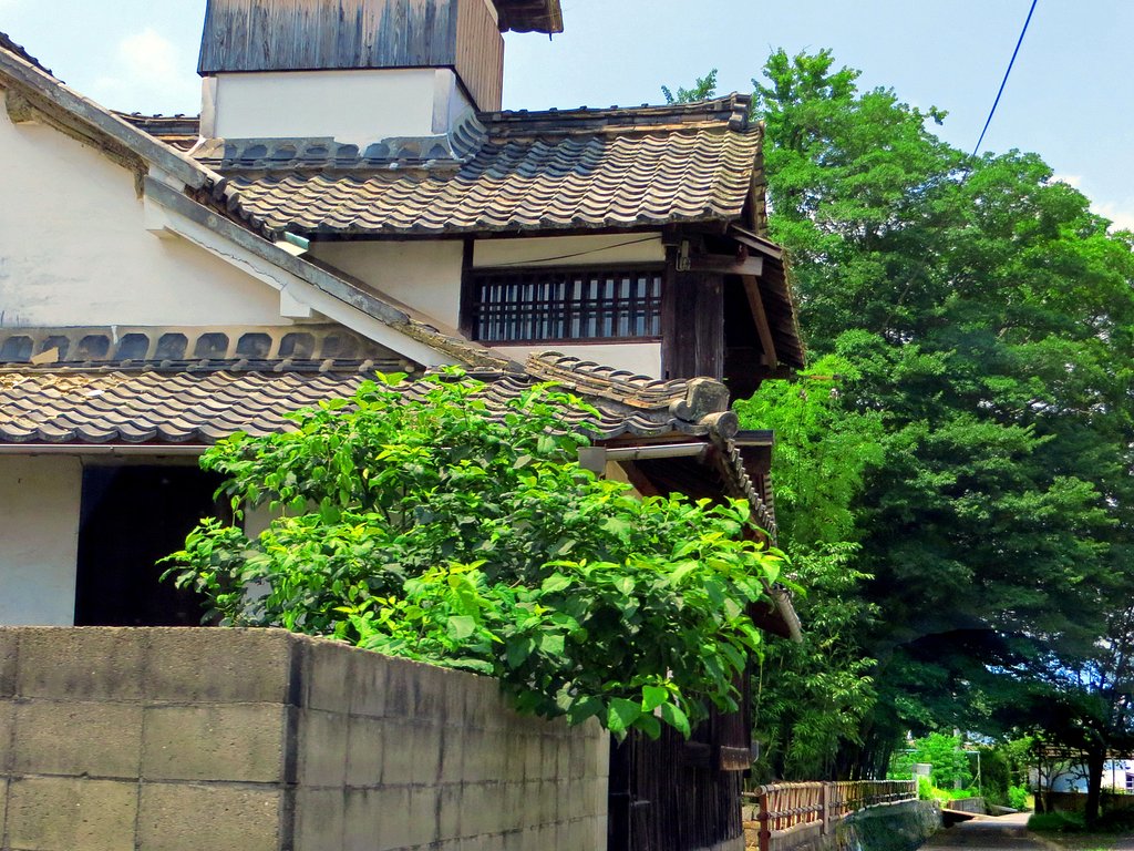 木陰