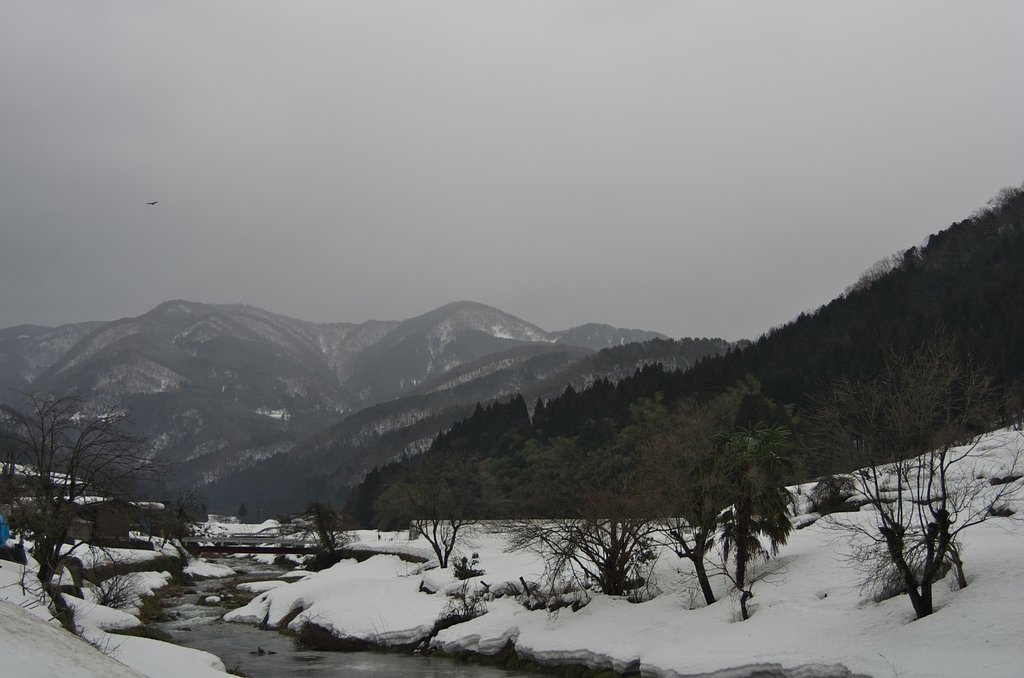 雪がチラチラと降っています・・