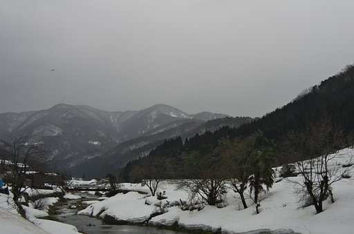 雪がチラチラと降っています・・