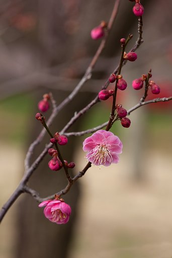 今が旬