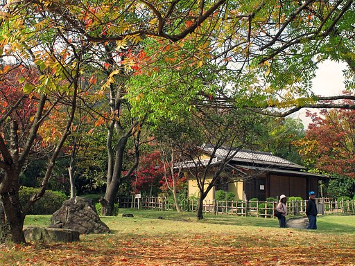 カイノキのある風景