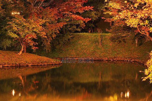 用作（ユウジャク）公園、お前もか・・・。