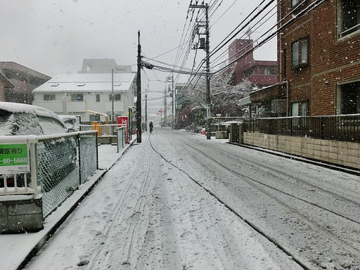 春の雪