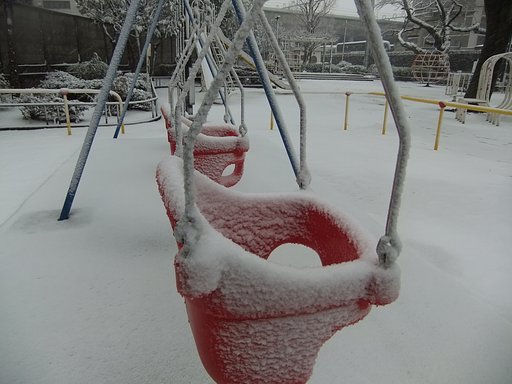 ケビ散歩（２月２９日の雪）