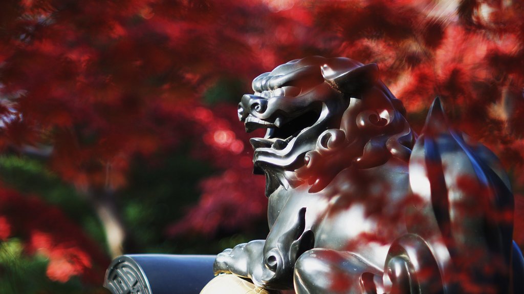 豪徳寺その後・・・