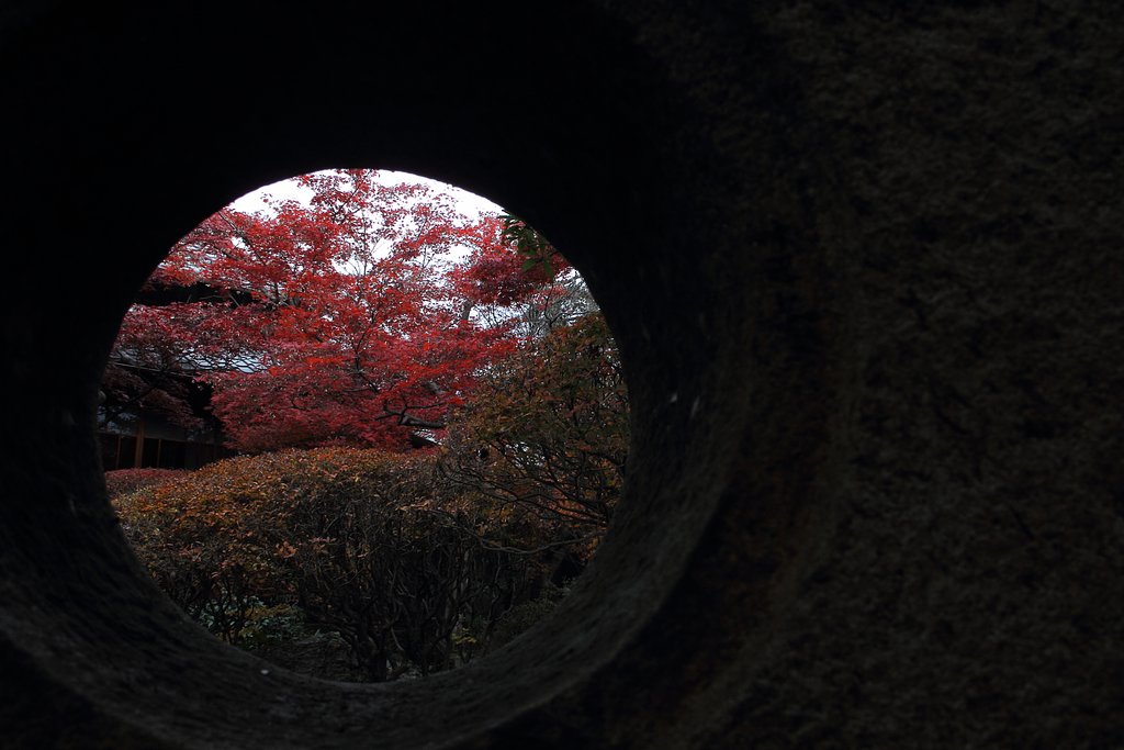秋を見た