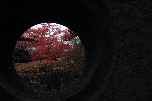 秋を見た