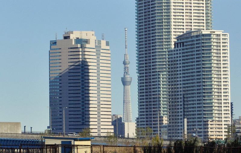 市場駅から見る東京スカイツリー
