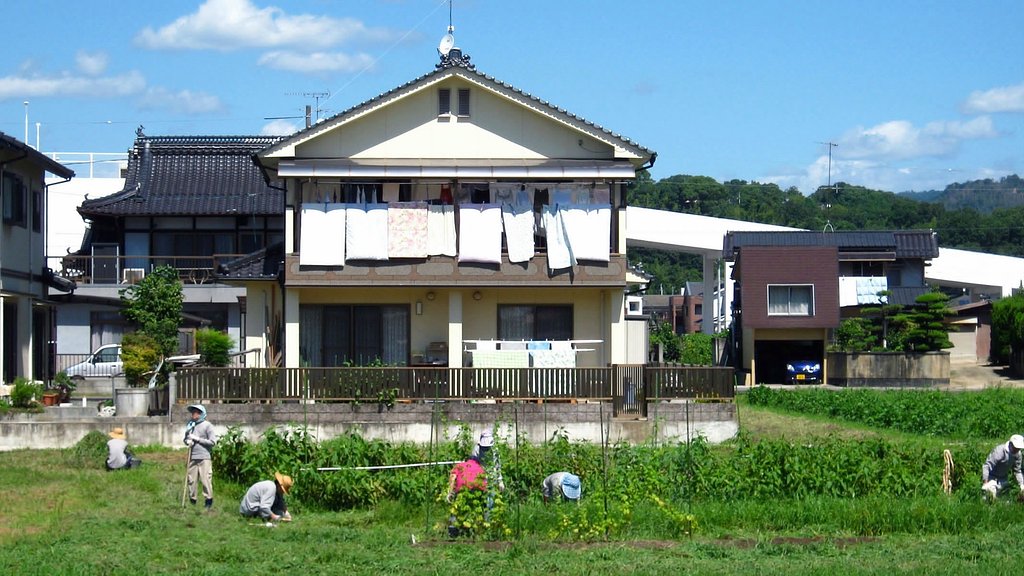 共同菜園