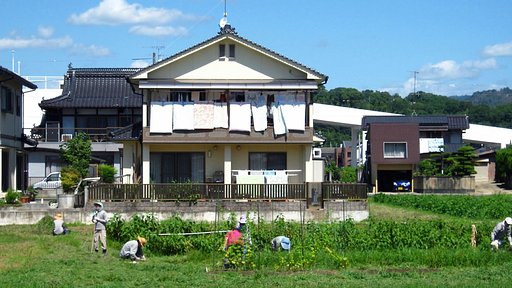 共同菜園