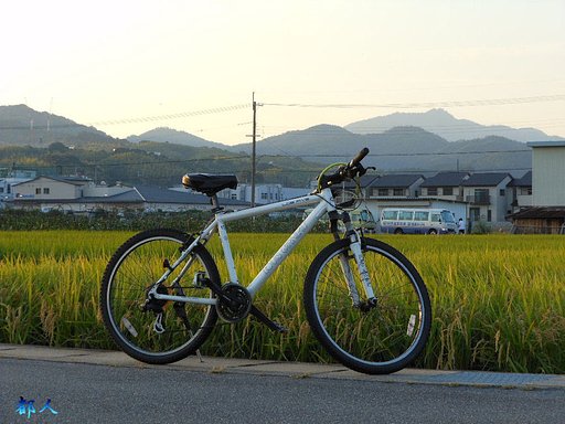 実りの秋