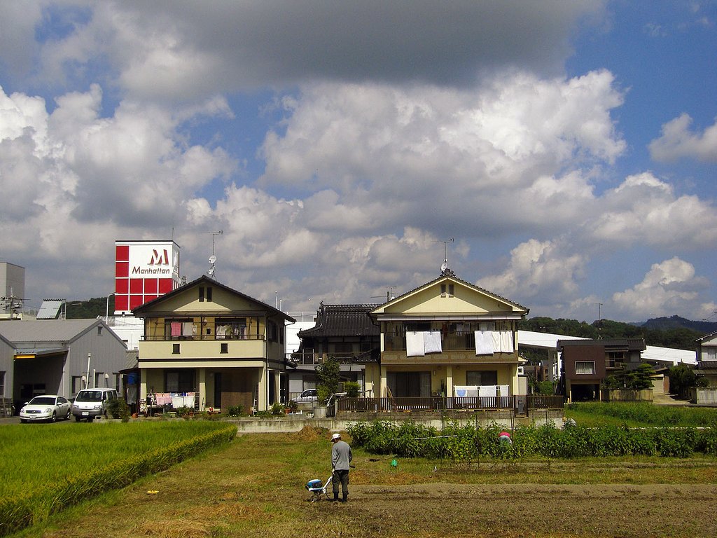 夏去らず