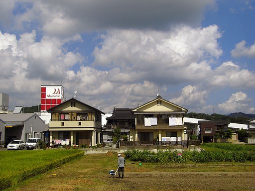 夏去らず