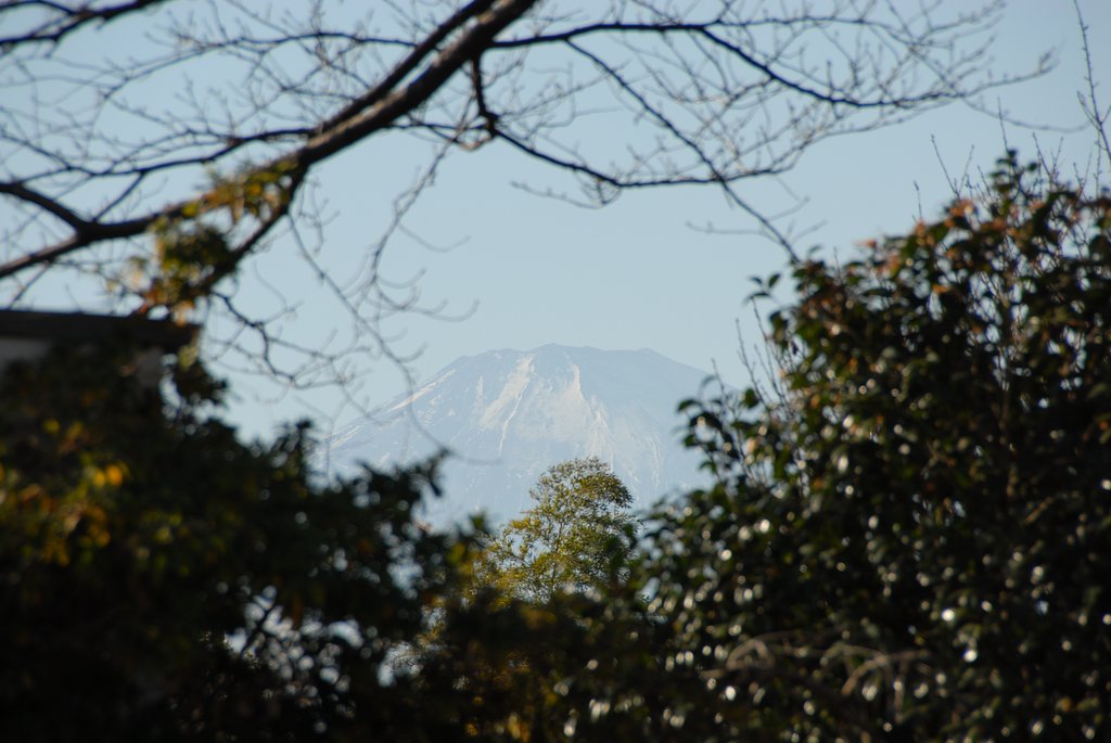 Ｄ200+VR18-200　遠景