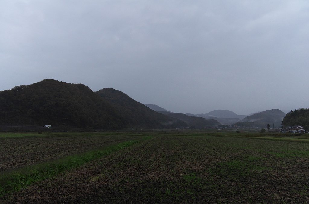 雨降りの朝。