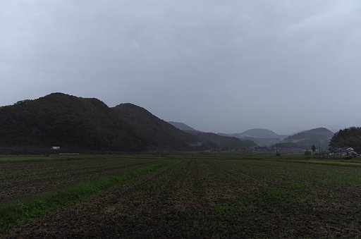 雨降りの朝。