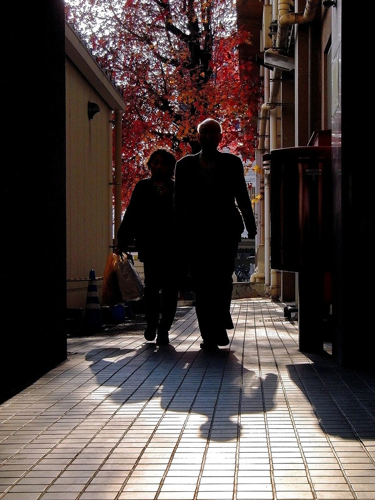 【逆光】紅葉を背に