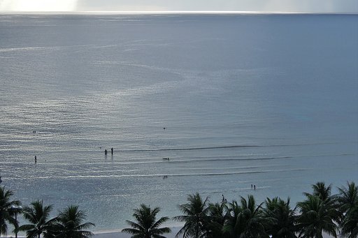 海