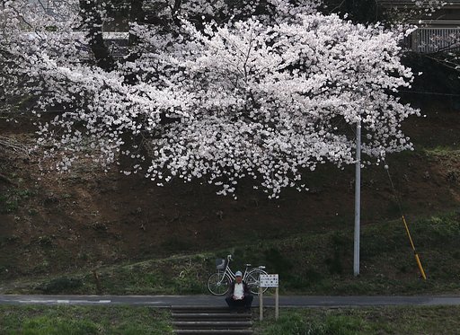 花と老人