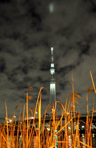 葦と東京スカイツリー