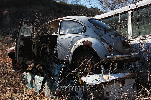 置き去りにされて・・・、豊後大野市K町で。