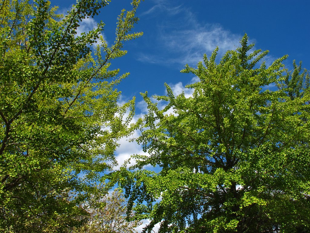 今日も暑かったです・・・