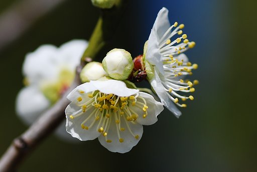 この風雨の中でどうしているだろう