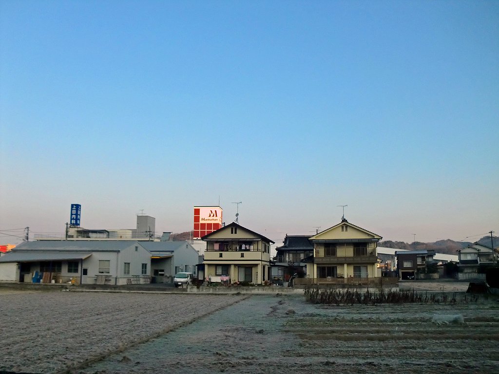朝霜