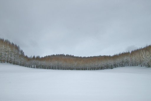 空とともに少し明るく