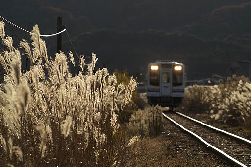 『逆』天竜浜名湖鉄道