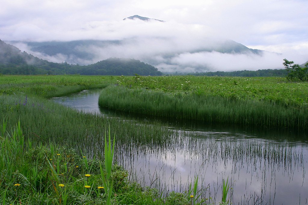 尾瀬夏景　2