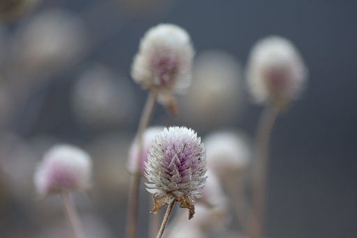 終末