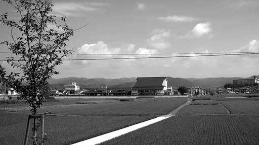 畦【道】