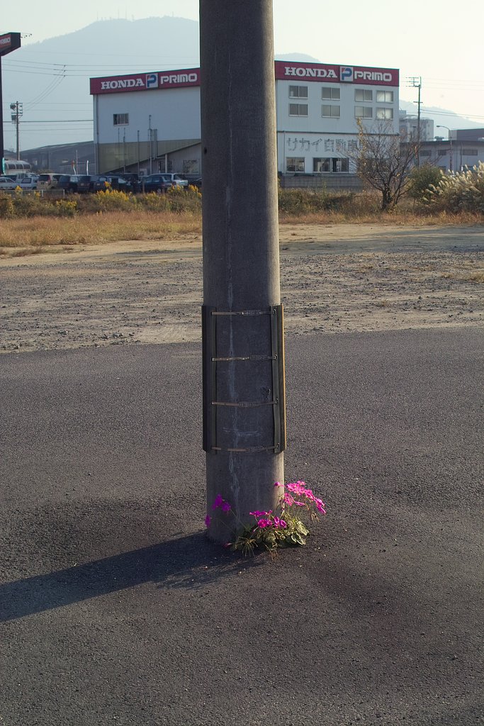 瀬戸の内海