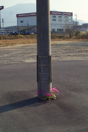 瀬戸の内海