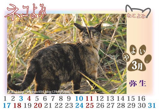 やよい・・・