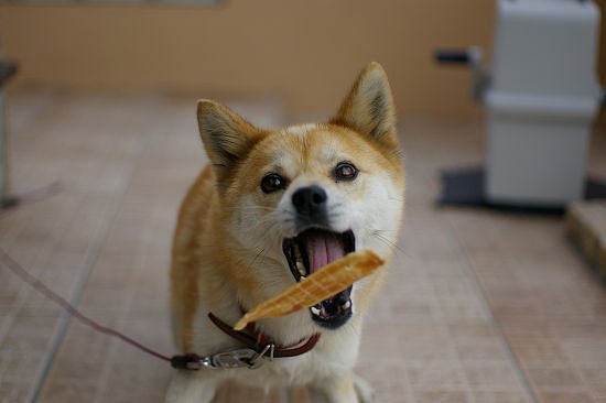 捕獲の瞬間