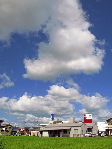 秋雲