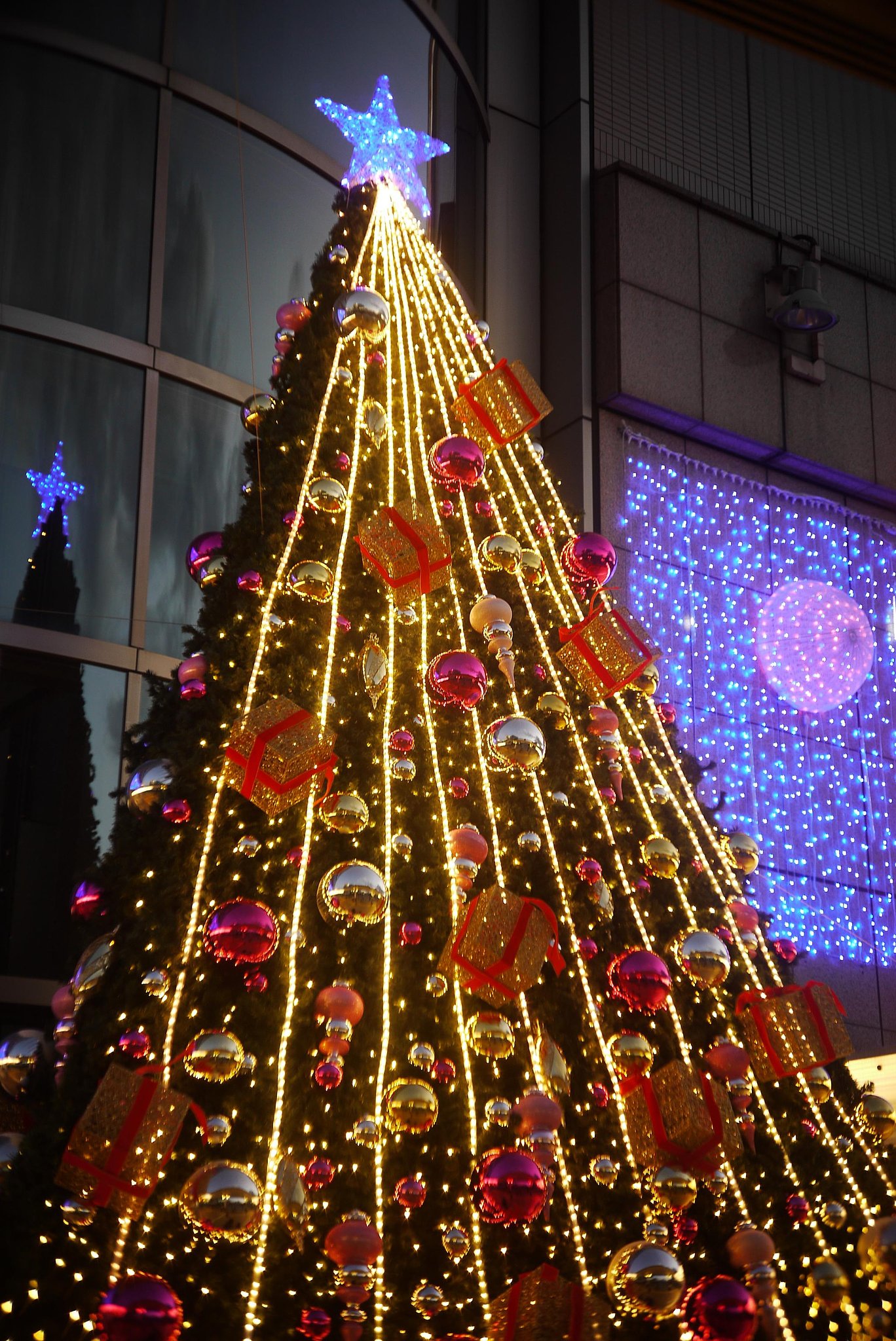 クリスマスツリー